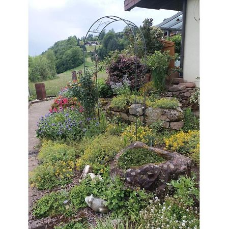 Ferienwohnung Wiesenblick Oberharmersbach Luaran gambar